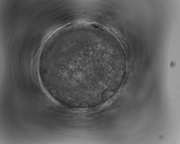 X0000102520049200808221851