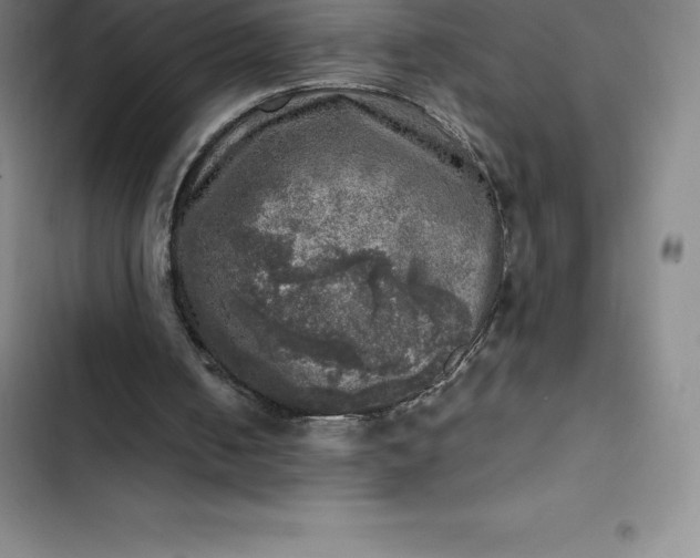 X0000102520050200808221851