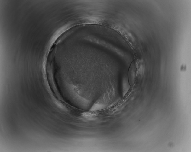 X0000102520051200808221851