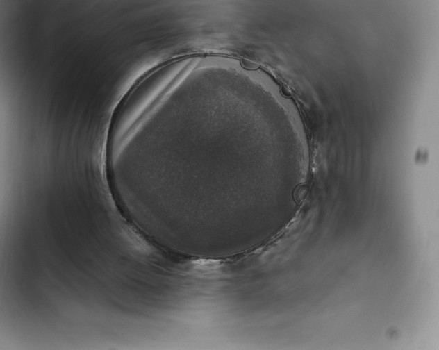 X0000102520052200808221851