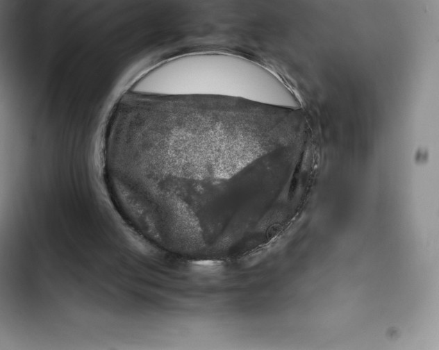 X0000102520053200808221851