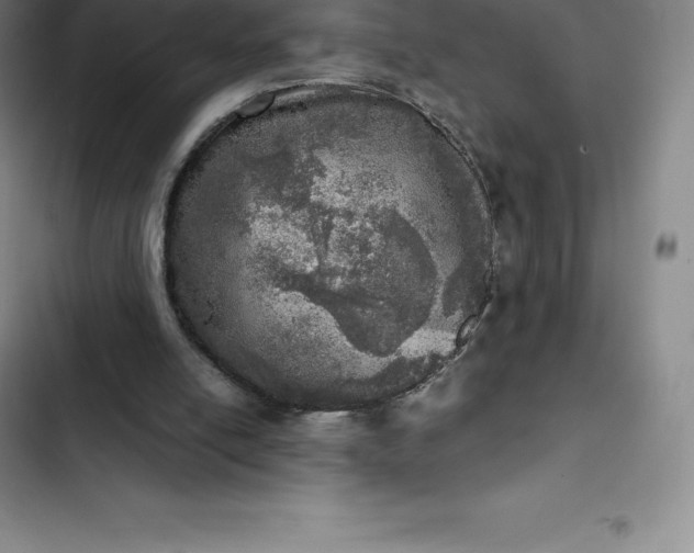 X0000102520054200808221851