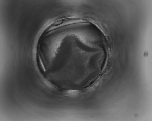 X0000102520055200808221851