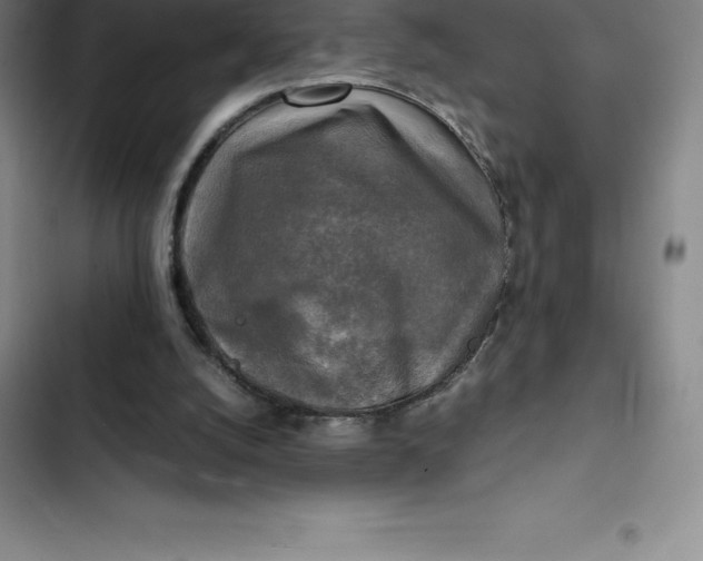 X0000102520056200808221851