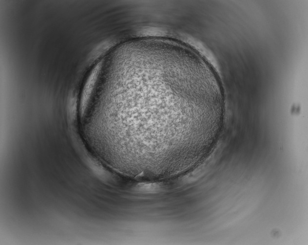 X0000102520057200808221851