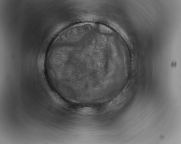 X0000102520058200808221851