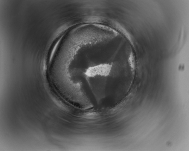 X0000102520059200808221851