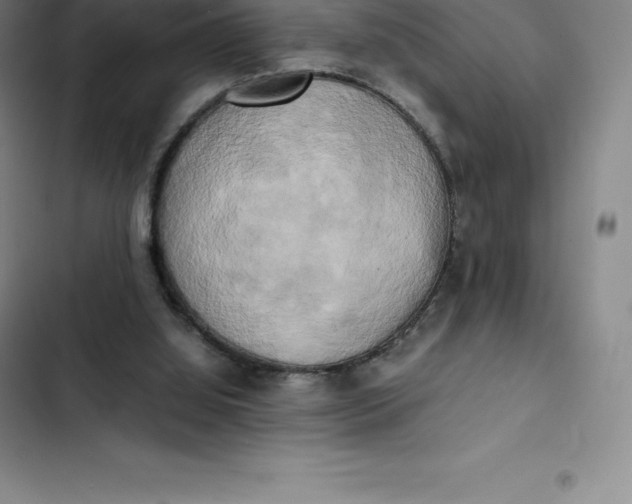 X0000102520060200808221851