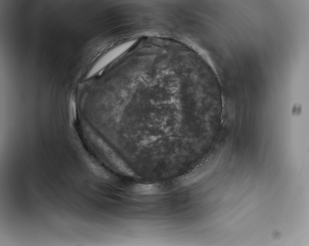 X0000102520061200808221851