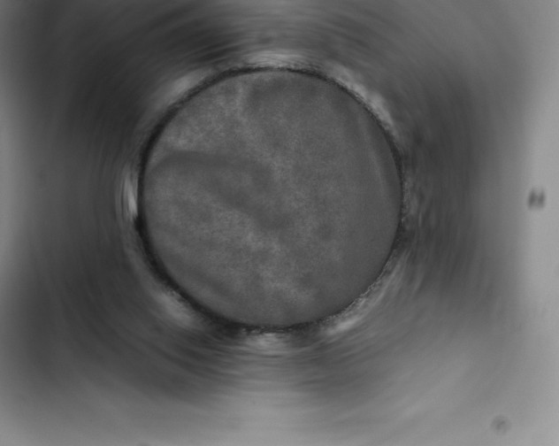 X0000102520062200808221851