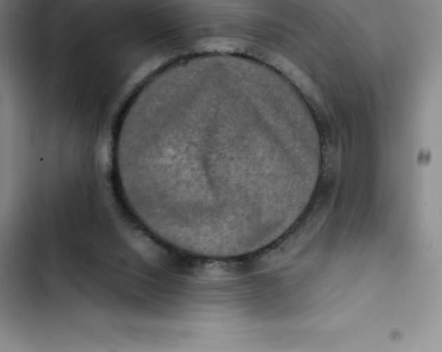 X0000102520064200808221851