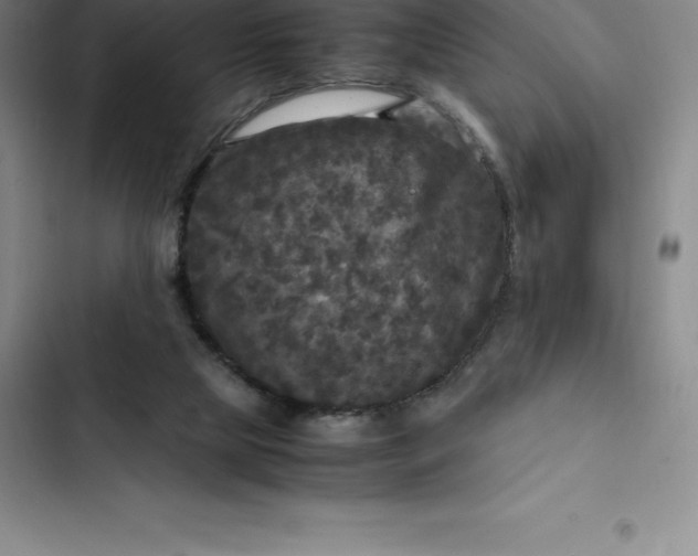 X0000102520065200808221851