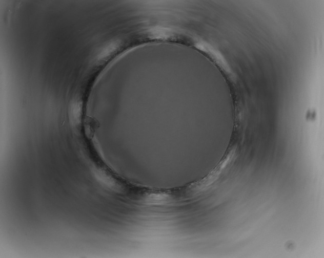 X0000102520066200808221851