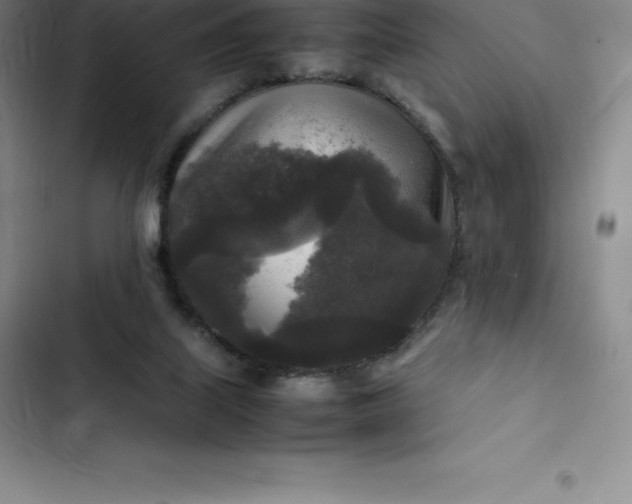 X0000102520067200808221851