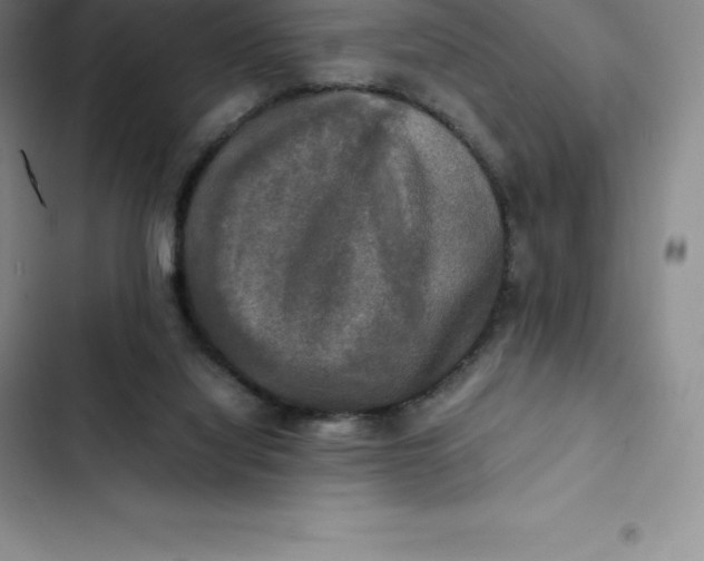 X0000102520068200808221851