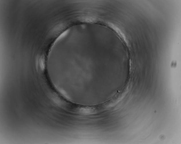 X0000102520069200808221851