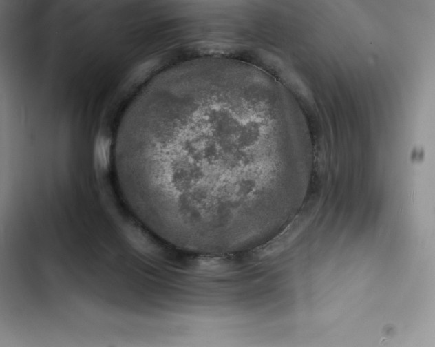 X0000102520070200808221851