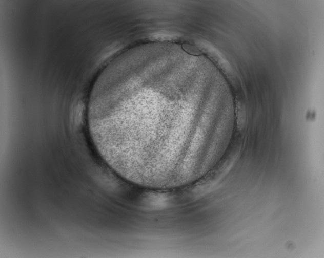 X0000102520071200808221851