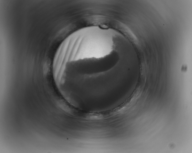 X0000102520073200808221851