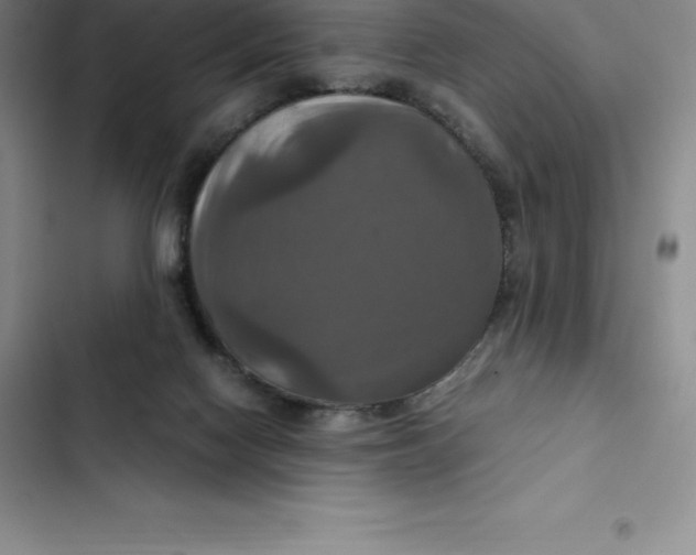 X0000102520074200808221851