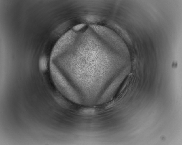 X0000102520075200808221851