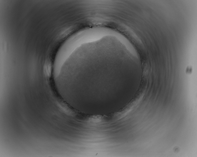 X0000102520076200808221851