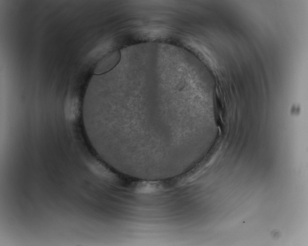 X0000102520077200808221851