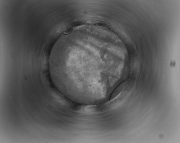 X0000102520078200808221851