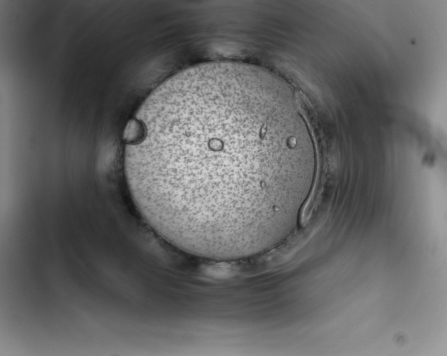 X0000102520079200808221851