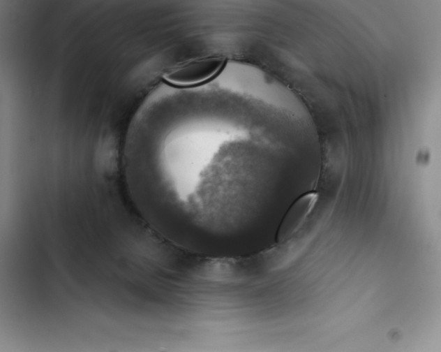 X0000102520080200808221851