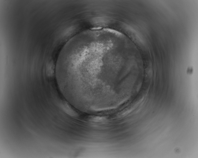 X0000102520081200808221851