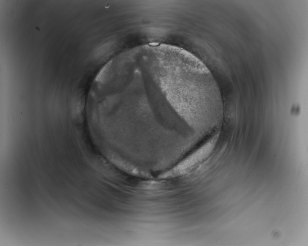 X0000102520082200808221851