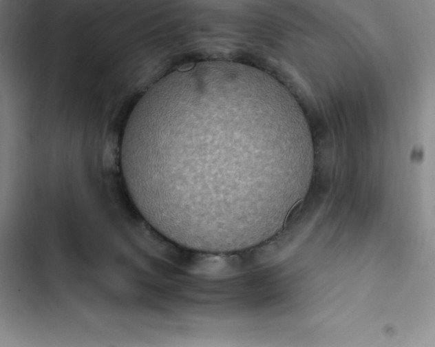 X0000102520083200808221851