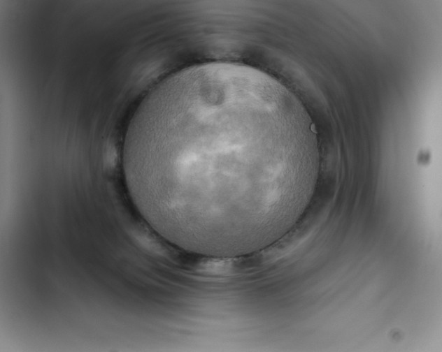 X0000102520084200808221851