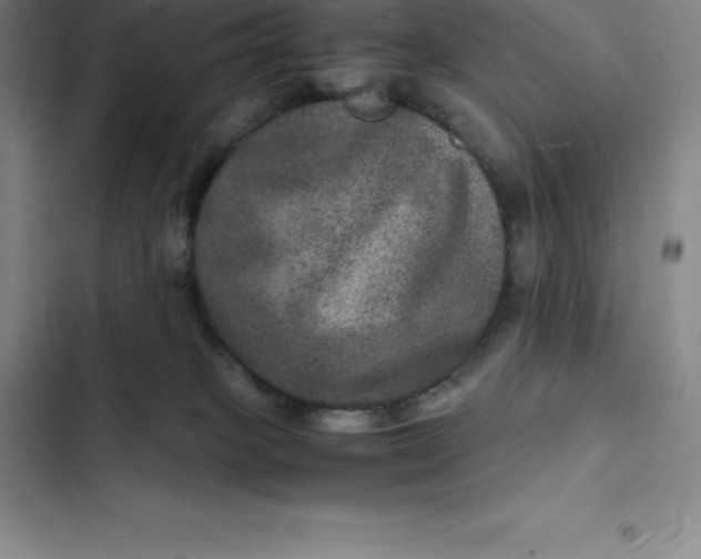 X0000102520085200808221851