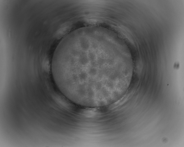 X0000102520086200808221851