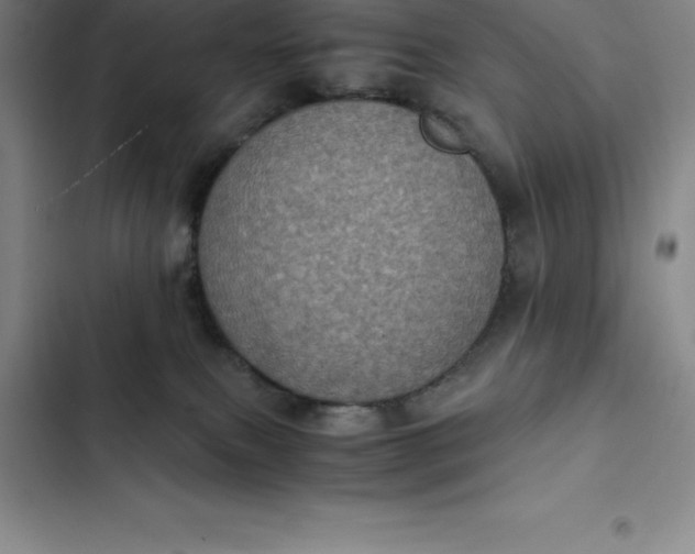 X0000102520087200808221851