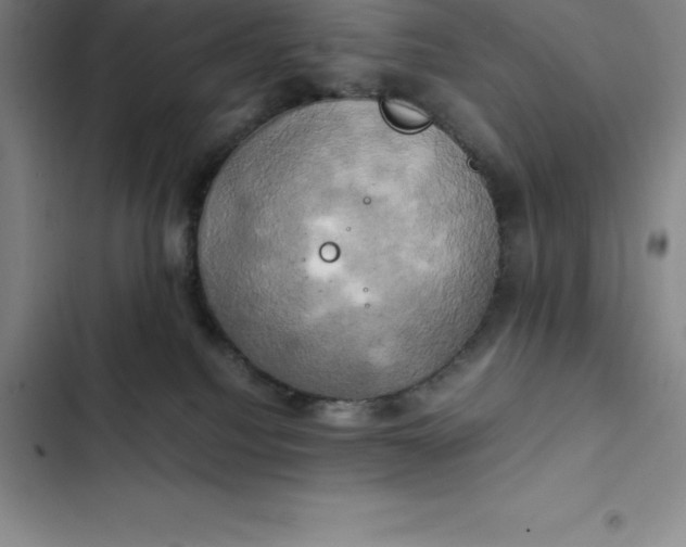 X0000102520088200808221851