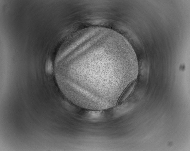 X0000102520089200808221851