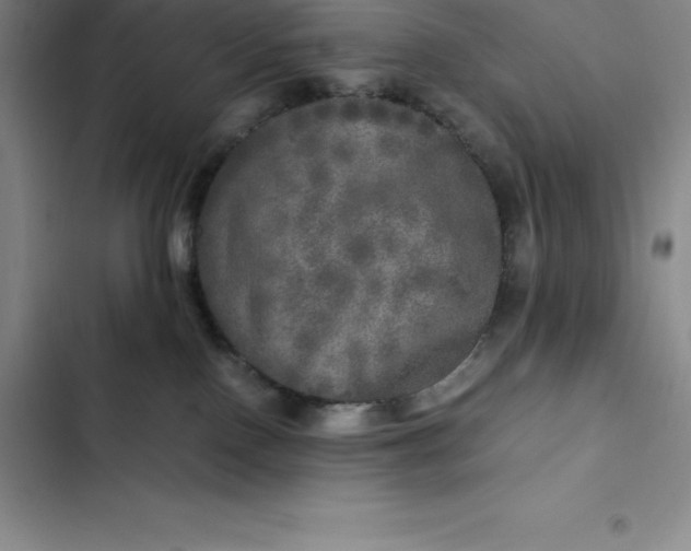 X0000102520090200808221851