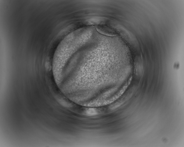 X0000102520091200808221851