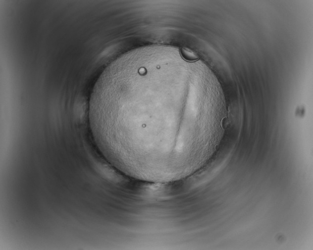 X0000102520092200808221851