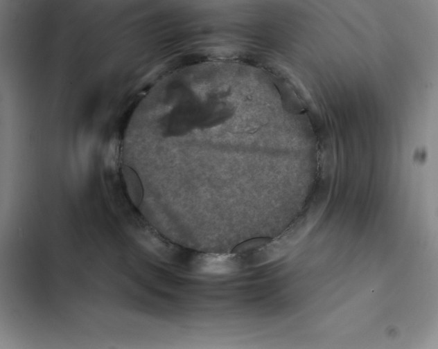 X0000102520093200808221852