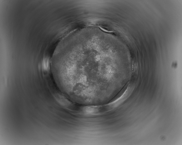 X0000102520094200808221852