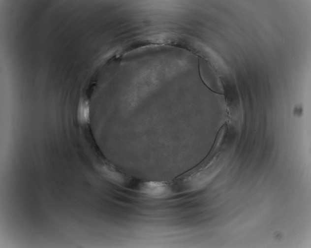 X0000102520095200808221852