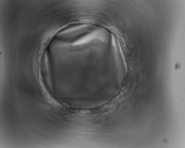 X0000102520097200808221851