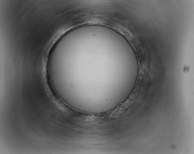 X0000102520098200808221851