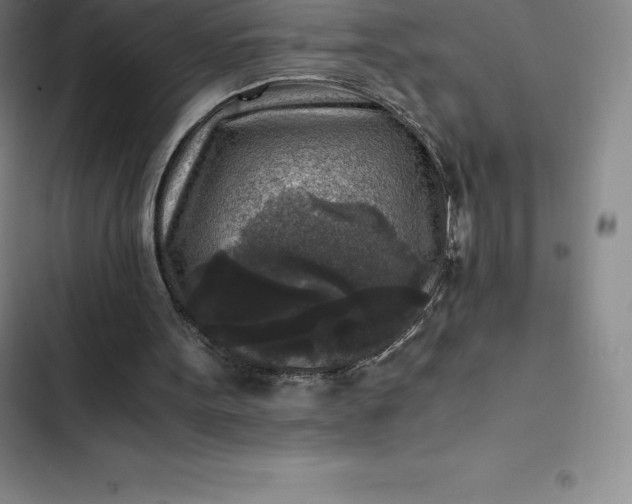 X0000102520099200808221851