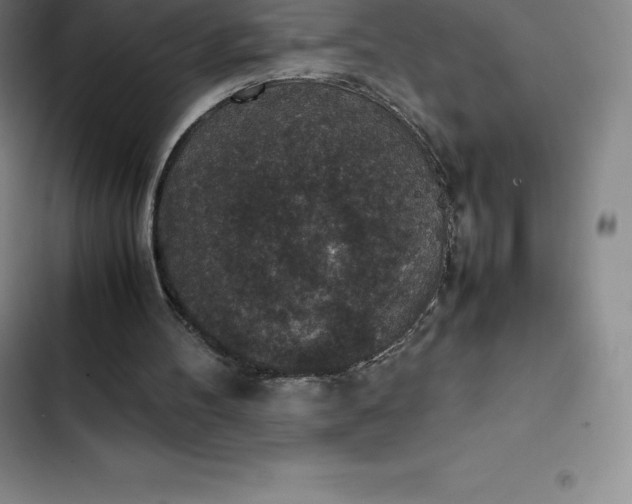 X0000102520100200808221851