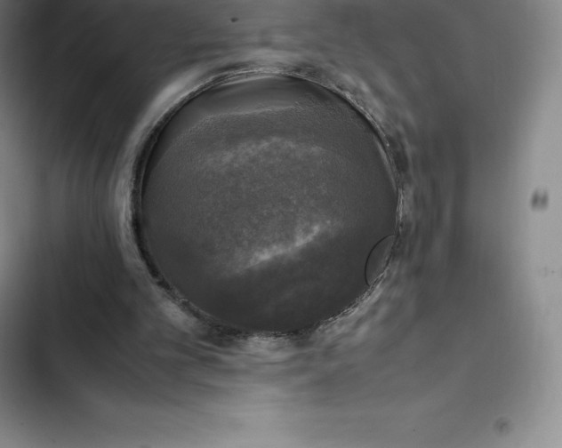 X0000102520101200808221851